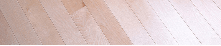 運動木地板材質樺木